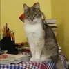 Отзыв от Роза Зубкова